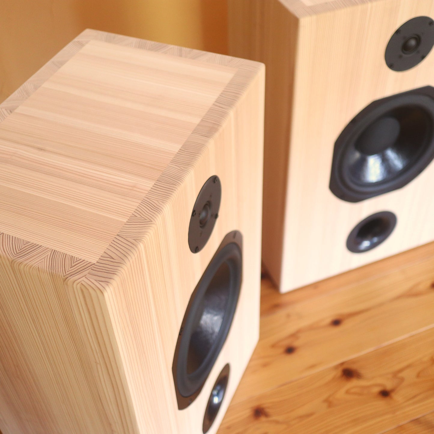 Higo Beat - Sugi 10 ペアスピーカー